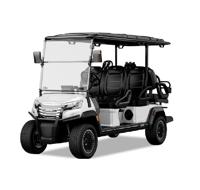 Cheap Electric White and Black Golf Carts for Sale Eco-Friendly and Durable for Sports & Leisure Use at Low Price