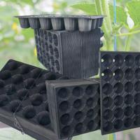 24-Cell Square Transparent Eco-Friendly Durable Seedling Tray Drainage Holes for Multi-Season Reusable Propagation Vegetables