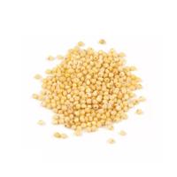 Bulk Price 25kg Bag Bird Food Millet Floured 100% Natural Glutinous Dried Yellow