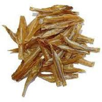 Dried Anchovy Fish IQF Frozen 10kg/ctn Bulk Supply High Quality Wholesale Pricing in Stock