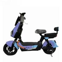 Factory Direct Adult Electric Scooter Bike 500W/800W 48V/60V Lead-Acid Battery Long Range City Bike for Urban Commuting