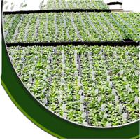 Plastic PET Heavy Duty Eco-Friendly Durable Lightweight Portable Black Seedling Tray 128 Cells Reusable Disposable Drainage Hole