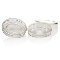 Nunc 24 Well TC Surface Culture Plate Cell Proliferation Treated Laboratory Standard Consumables China Origin Cat Lab Supplies