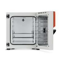 BINDER BD56 57L Laboratory Incubator Constant Temperature Incubator with Natural Convection