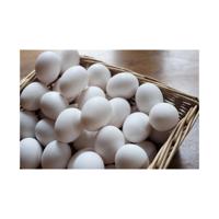 Organic Brown Eggs Free Range High Protein Natural Fresh Grade a Farm Product Healthy Diet Shell Eggs Bulk Order Wholesale